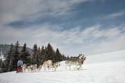 p-f.ch_100307_1112_1362_5D