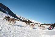 Transalp - Les Mosses