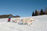 Transalp - Les Mosses