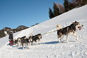 Transalp - Les Mosses