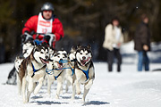 p-f.ch_110305_1124_8434_1D
