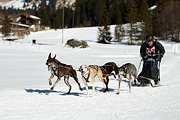 Kandersteg