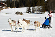 Kandersteg