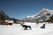 Kandersteg