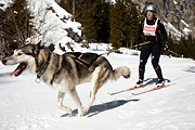 Kandersteg