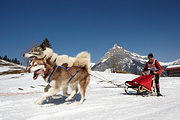 p-f.ch_110306_1414_9940_1D