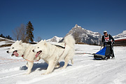 p-f.ch_110306_1422_9963_1D