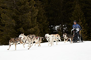 p-f.ch_110313_0931_1415_1D