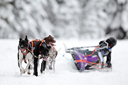 p-f.ch_120217_1156_1663_1D