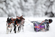 p-f.ch_120217_1156_1664_1D