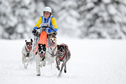 p-f.ch_120217_1157_1678_1D