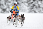 p-f.ch_120217_1157_1680_1D