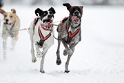 p-f.ch_120217_1157_1682_1D