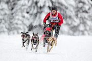 p-f.ch_120217_1159_1687_1D