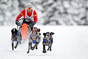 p-f.ch_120217_1159_1706_1D