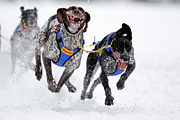 p-f.ch_120217_1159_1711_1D