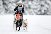p-f.ch_120217_1200_1714_1D