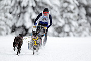 p-f.ch_120217_1203_1735_1D