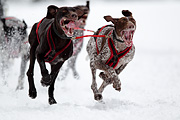 p-f.ch_120217_1203_1756_1D