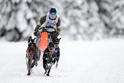 p-f.ch_120217_1204_1759_1D