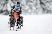 p-f.ch_120217_1204_1762_1D
