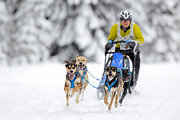 p-f.ch_120217_1205_1767_1D