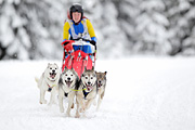 p-f.ch_120217_1207_1781_1D