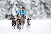 p-f.ch_120217_1207_1790_1D