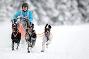 p-f.ch_120217_1207_1798_1D