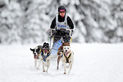 p-f.ch_120217_1211_1828_1D