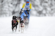 p-f.ch_120217_1211_1843_1D
