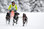 p-f.ch_120217_1212_1853_1D