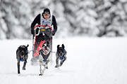 p-f.ch_120217_1215_1871_1D