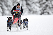 p-f.ch_120217_1215_1873_1D