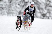 p-f.ch_120217_1226_1980_1D