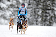 p-f.ch_120217_1233_1992_1D