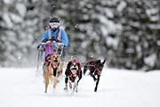 p-f.ch_120217_1235_2013_1D