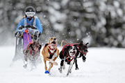 p-f.ch_120217_1235_2020_1D