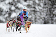 p-f.ch_120217_1236_2023_1D