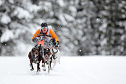 p-f.ch_120217_1248_2029_1D