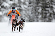 p-f.ch_120217_1248_2034_1D