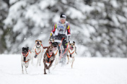 p-f.ch_120217_1249_2040_1D