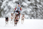 p-f.ch_120217_1249_2044_1D