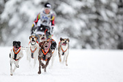 p-f.ch_120217_1249_2047_1D