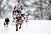 p-f.ch_120217_1249_2048_1D