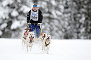 p-f.ch_120217_1251_2051_1D