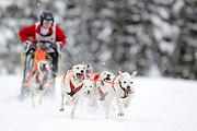 p-f.ch_120217_1251_2065_1D
