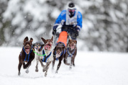 p-f.ch_120217_1252_2072_1D