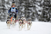 p-f.ch_120217_1303_2159_1D
