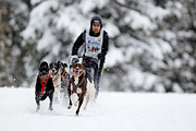 p-f.ch_120217_1304_2172_1D